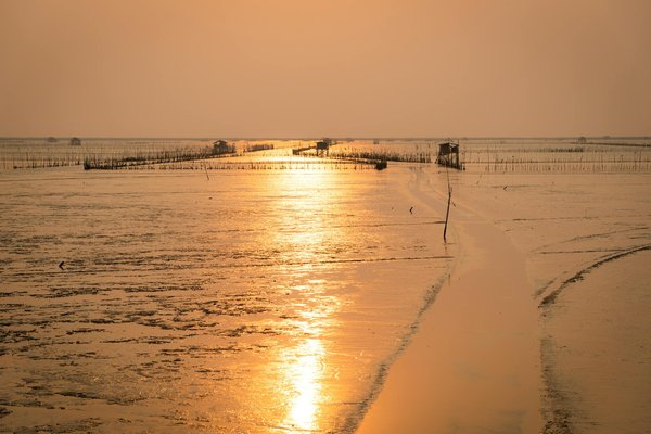 Préparez-vous pour votre première croisière Ponant